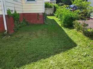 Ryan F.'s turf maintenance service result