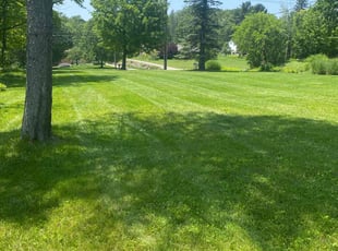 Rachel A.'s turf care service result