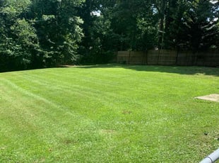 Sandra P.'s grass cutting service result