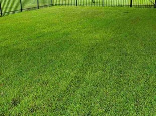 Alec H.'s landscaping service result