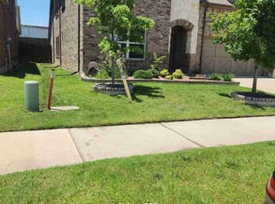 Jessica W.'s turf maintenance service result