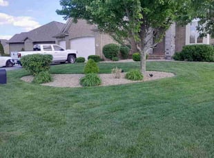 Ronni D.'s lawn service service result