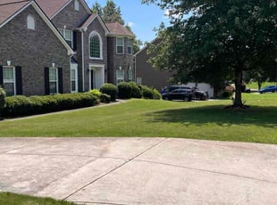 Wanda C.'s turf care service result