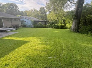 Andrea N.'s grass maintenance service result