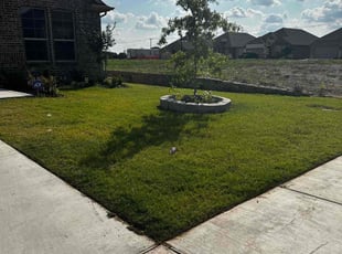 Ebony V.'s lawn service service result