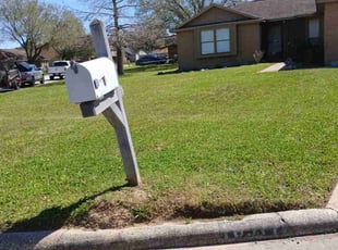 Douglas N.'s turf care service result