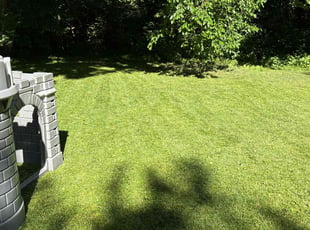 James L.'s lawn care services service result