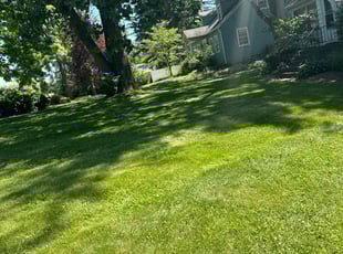 Jessica L.'s turf care service result