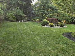 Greg G.'s turf maintenance service result