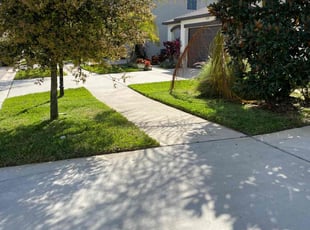 Lee C.'s lawn service service result