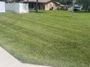 Cristal A.'s grass cutting service result