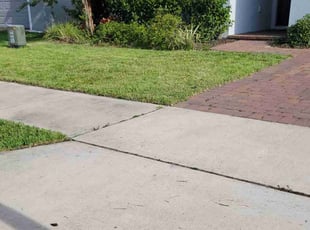 Minawattie J.'s turf maintenance service result