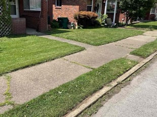 Edy A.'s turf care service result