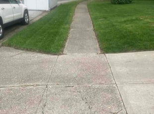 Juan R.'s lawn care services service result