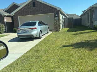 Joshua C.'s turf care service result