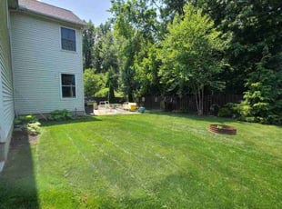 Alex P.'s turf care service result