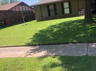 Alex M.'s grass maintenance service result