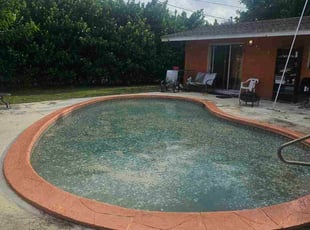 Tamara A.'s Pool Deep Cleaning service result