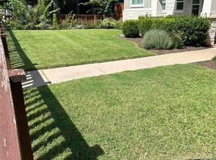 Danielle G.'s turf maintenance service result
