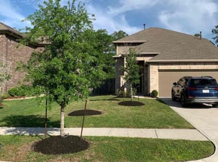 Brenda F.'s Mulching service result
