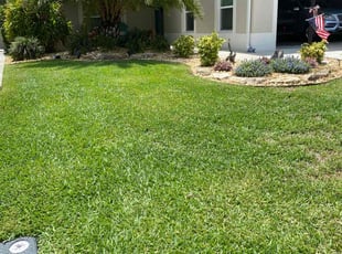 Gary L.'s lawn care service result