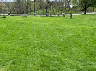 Kiana B.'s landscaping service result
