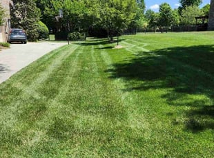 Brittany W.'s lawn service service result