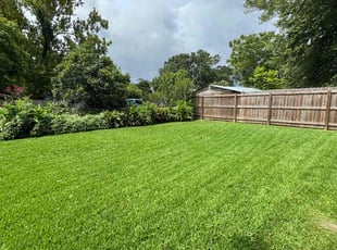 Nicole B.'s lawn maintenance service result