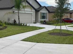 Cindi H.'s turf care service result