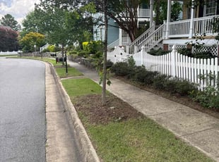 Barbara T.'s grass maintenance service result