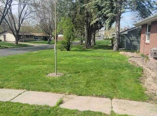 Amanda G.'s turf maintenance service result