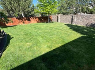 Glenn S.'s grass maintenance service result