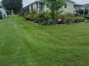 Christyn B.'s lawn care services service result