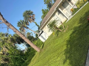 Deborah W.'s turf care service result