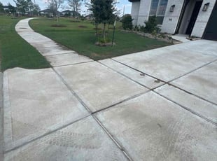 Celeste H.'s lawn care service result