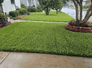 Robert D.'s yard work service result