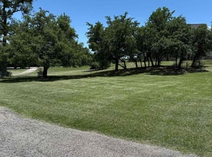 James M.'s grass maintenance service result