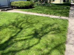Jeremy K.'s grass cutting service result
