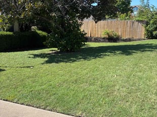 Tyalonie J.'s grass maintenance service result