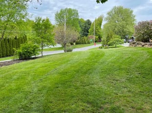Leslie T.'s lawn care services service result