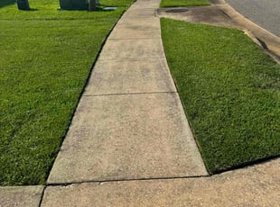 John S.'s grass maintenance service result