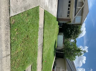 Kyle L.'s grass maintenance service result