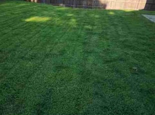 Steve B.'s lawn service service result