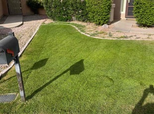 Nick R.'s turf maintenance service result