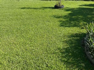 Pamela C.'s grass cutting service result