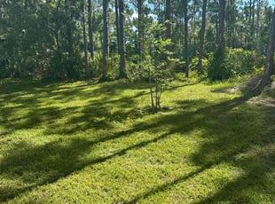 Samantha N.'s landscaping service result