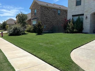 Miek T.'s grass maintenance service result