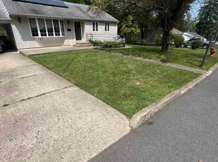 Annette H.'s grass cutting service result