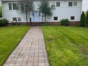 Thomas D.'s lawn care services service result