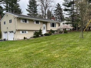 Allister D.'s lawn maintenance service result
